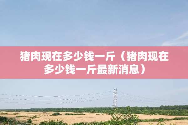 猪肉现在多少钱一斤（猪肉现在多少钱一斤最新消息）