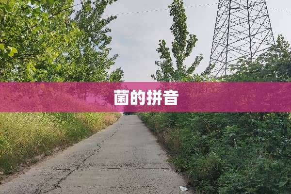 菌的拼音