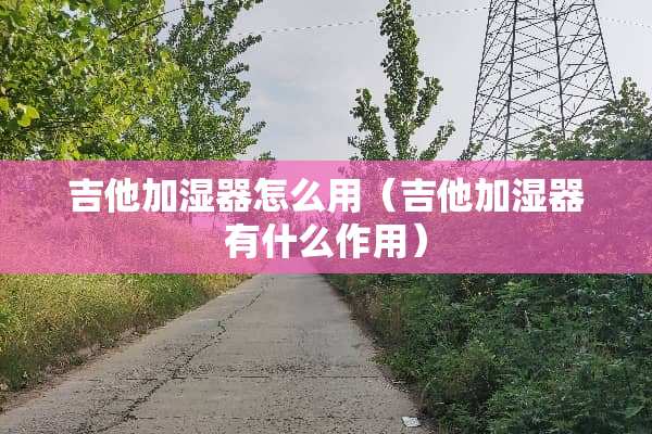 吉他加湿器怎么用（吉他加湿器有什么作用）