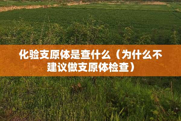 化验支原体是查什么（为什么不建议做支原体检查）