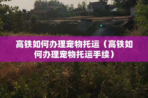 高铁如何办理宠物托运（高铁如何办理宠物托运手续）