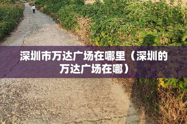 深圳市万达广场在哪里（深圳的万达广场在哪）