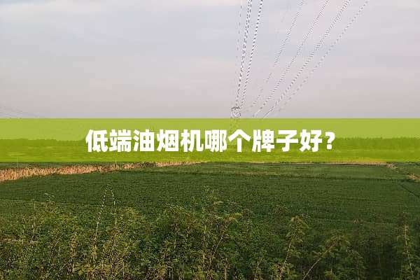 低端油烟机哪个牌子好？