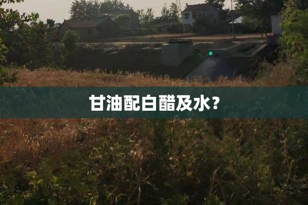 **配白醋及水？