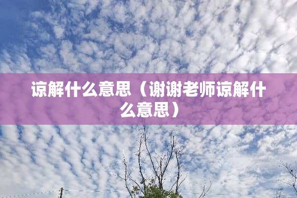 谅解什么意思（谢谢老师谅解什么意思）