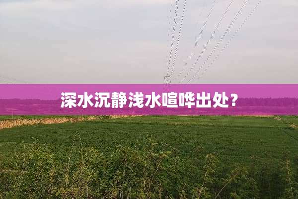 深水沉静浅水喧哗出处？