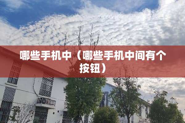 哪些手机中（哪些手机中间有个按钮）