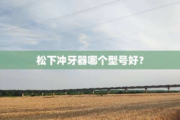 松下冲牙器哪个型号好？