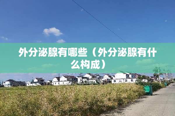 外分泌腺有哪些（外分泌腺有什么构成）