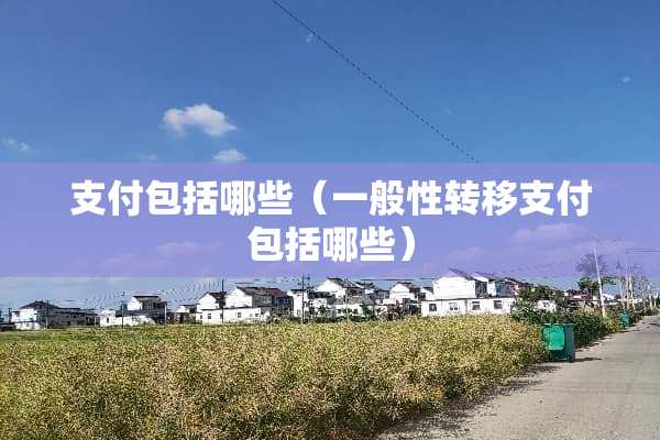 支付包括哪些（一般性转移支付包括哪些）