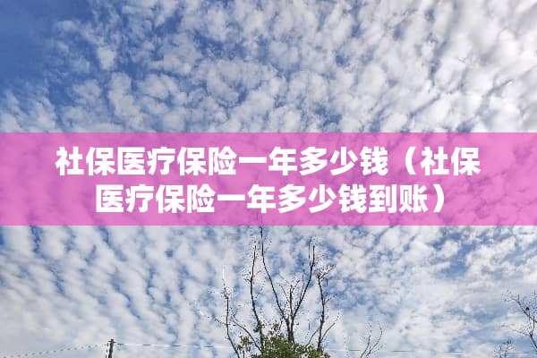 社保医疗保险一年多少钱（社保医疗保险一年多少钱到账）