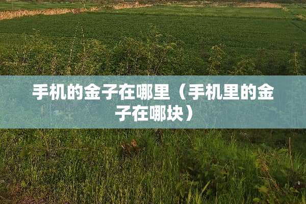 手机的金子在哪里（手机里的金子在哪块）