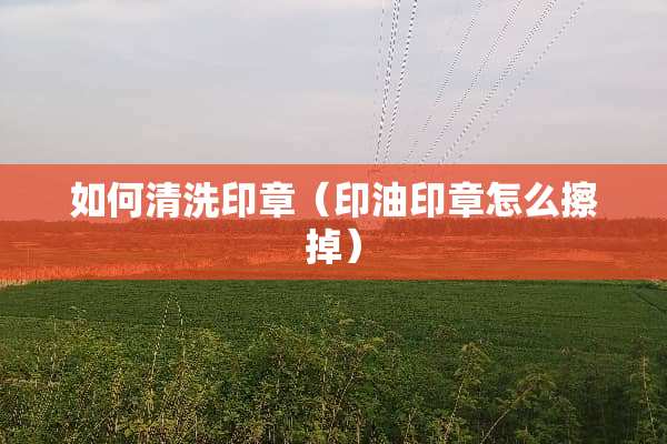 如何清洗印章（印油印章怎么擦掉）