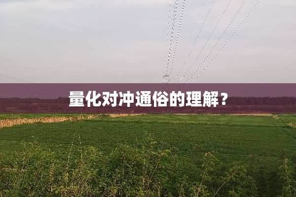 量化对冲通俗的理解？