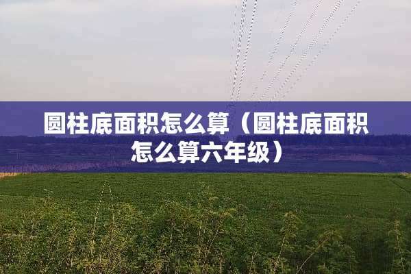 圆柱底面积怎么算（圆柱底面积怎么算六年级）