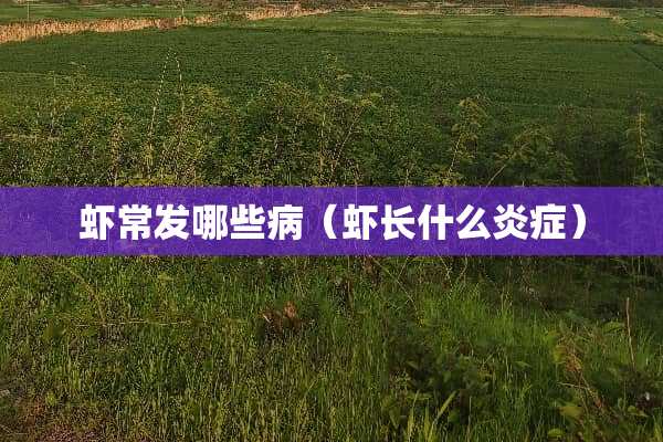 虾常发哪些病（虾长什么炎症）