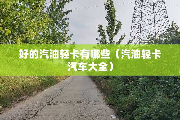 好的汽油轻卡有哪些（汽油轻卡汽车大全）
