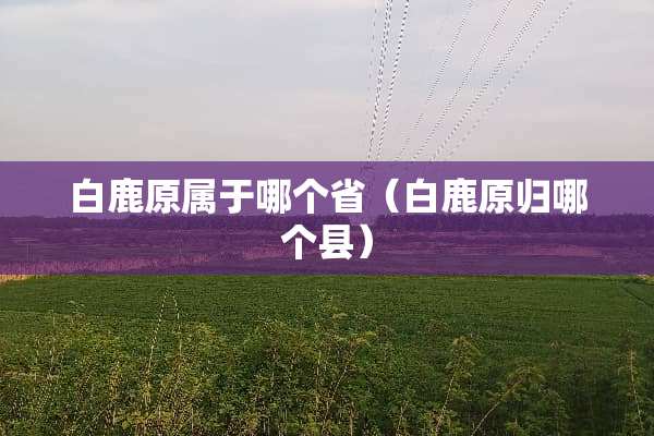 白鹿原属于哪个省（白鹿原归哪个县）