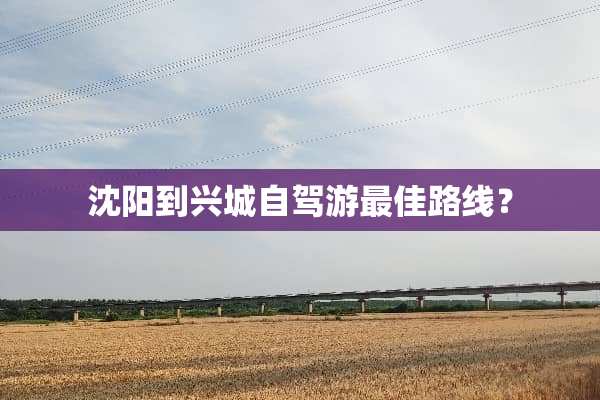 沈阳到兴城自驾游最佳路线？