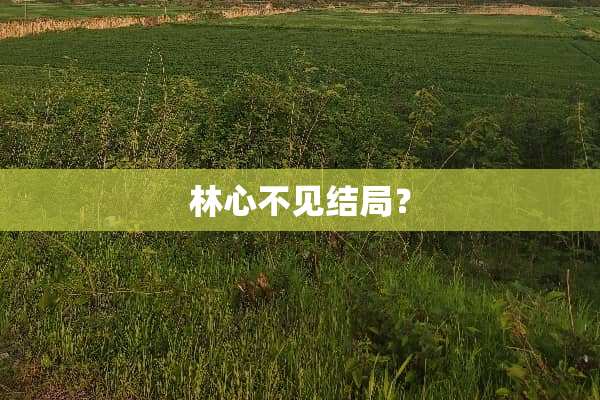 林心不见结局？