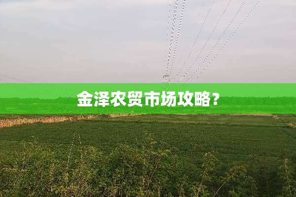 金泽农贸市场攻略？