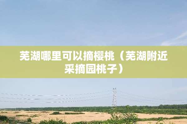 芜湖哪里可以摘樱桃（芜湖附近采摘园桃子）