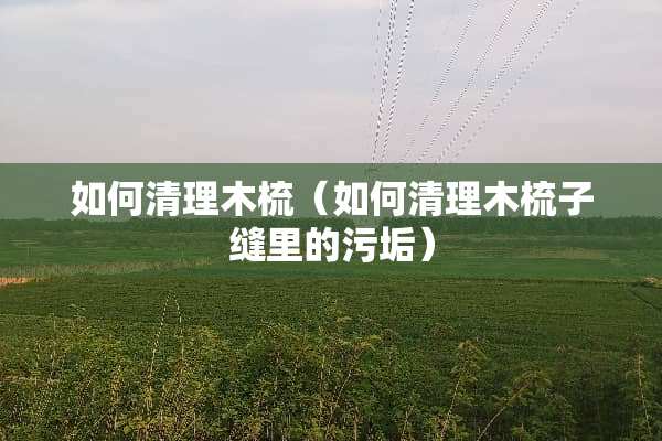 如何清理木梳（如何清理木梳子缝里的污垢）