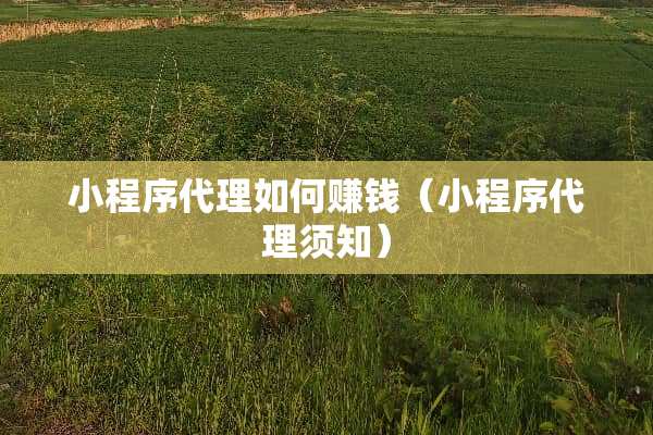 小程序代理如何赚钱（小程序代理须知）