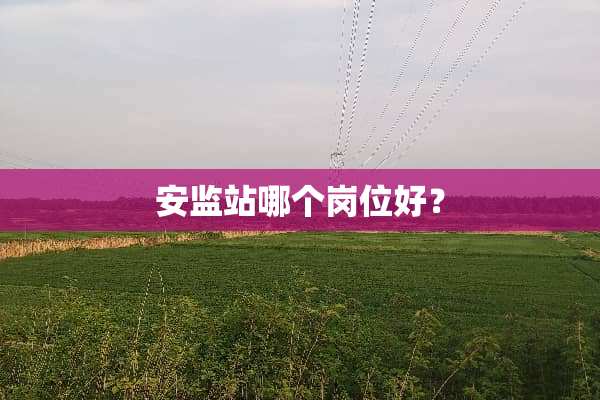 安监站哪个岗位好？