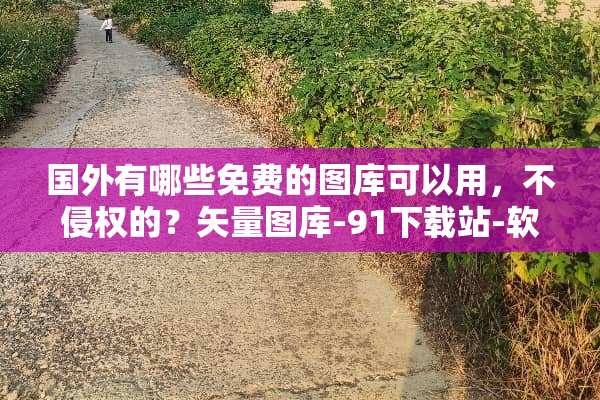 国外有哪些免费的图库可以用，不侵权的？矢量图库-91下载站-软件