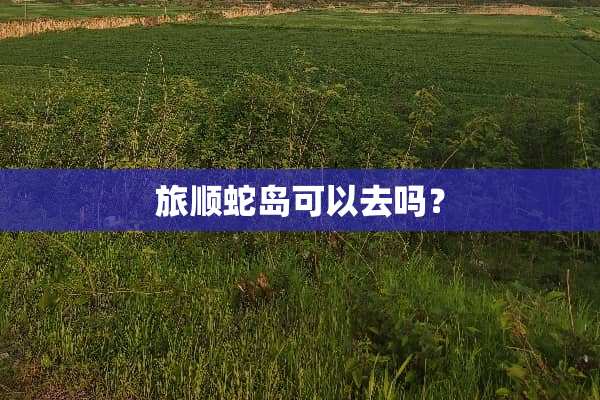 旅顺蛇岛可以去吗？