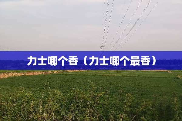 力士哪个香（力士哪个最香）