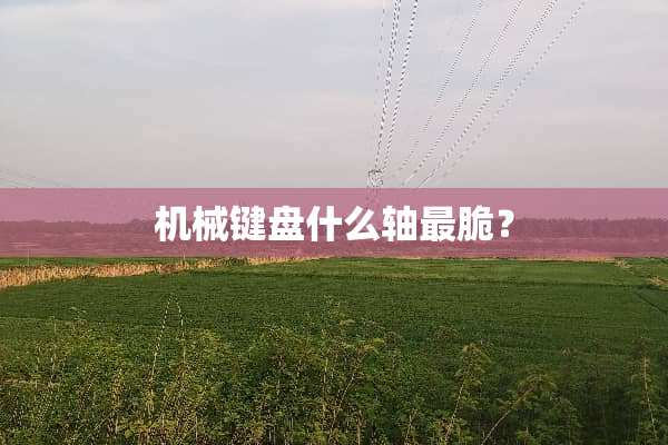 机械键盘什么轴最脆？