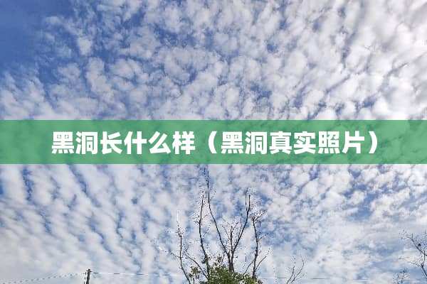 黑洞长什么样（黑洞真实照片）