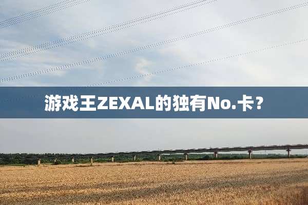 游戏王ZEXAL的独有No.卡？