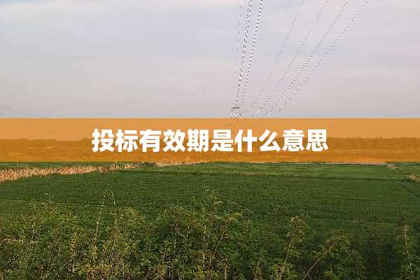 投标有效期是什么意思