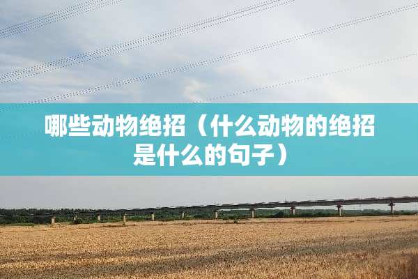 哪些动物绝招（什么动物的绝招是什么的句子）