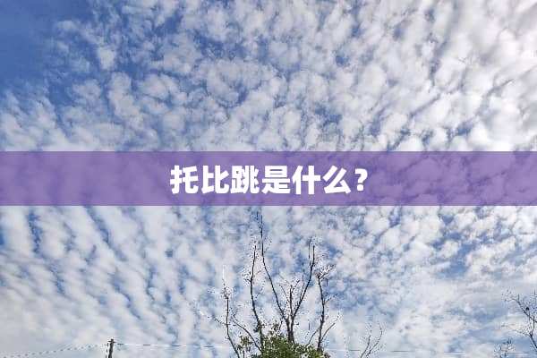 托比跳是什么？