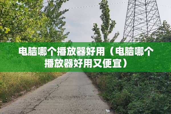 电脑哪个播放器好用（电脑哪个播放器好用又便宜）