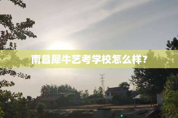 南昌犀牛艺考学校怎么样？