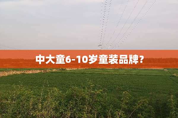 中大童6-10岁童装品牌？