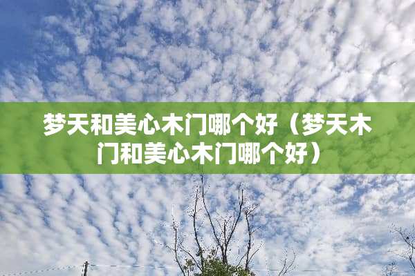 梦天和美心木门哪个好（梦天木门和美心木门哪个好）