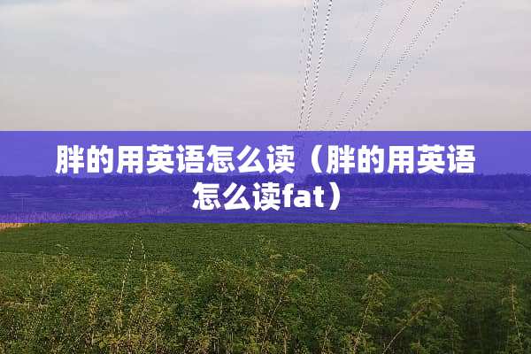 胖的用英语怎么读（胖的用英语怎么读fat）