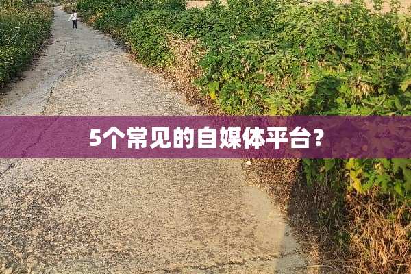 5个常见的自媒体平台？