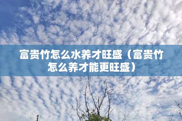 富贵竹怎么水养才旺盛（富贵竹怎么养才能更旺盛）