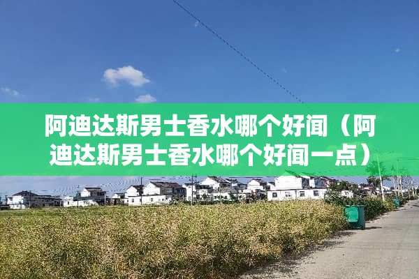 阿迪达斯男士香水哪个好闻（阿迪达斯男士香水哪个好闻一点）