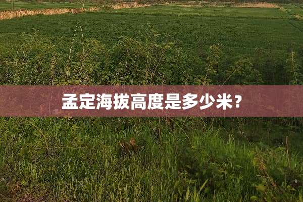 孟定海拔高度是多少米？