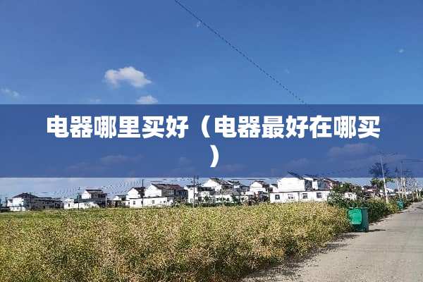电器哪里买好（电器最好在哪买）