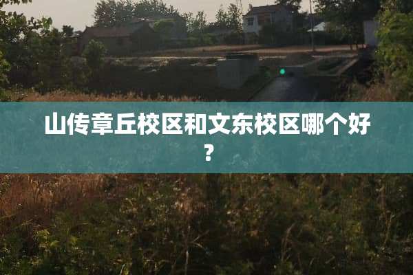 山传章丘校区和文东校区哪个好？