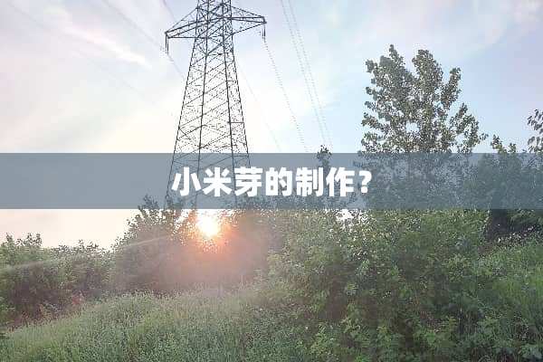 小米芽的制作？